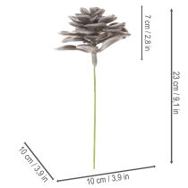 položky Umělé sukulentní voskové květiny dekorace 10cm 6ks