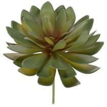 položky Umělý sukulent jako dekorativní rostlina, zelený, 18 cm, 3 kusy