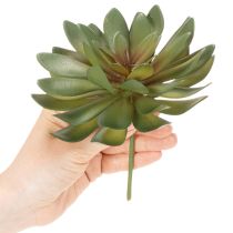 položky Umělý sukulent jako dekorativní rostlina, zelený, 18 cm, 3 kusy