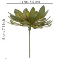 položky Umělý sukulent jako dekorativní rostlina, zelený, 18 cm, 3 kusy