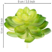 položky Umělá sukulentní rostlina, zelená, k dekoraci do misky nebo vázy, 10 cm, 4 kusy
