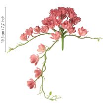 položky Umělý sukulent 28 rozet Aeonium starorůžový 43cm