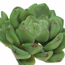 Sukulentní Echeveria umělá zelená H15cm