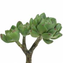 položky Sukulentní Echeveria umělá zelená H15cm