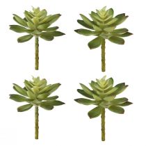 položky Umělé sukulenty umělé rostliny zelené Ø10cm 4ks