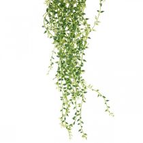 Sukulentní umělá závěsná rostlina zelená 96cm