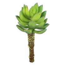 položky Sukulentní Echeveria umělá zelená rostlina zelená Ø5,5cm 12,5cm