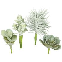 Sukulenty Umělá zelená rostlina Green Assorted 9-18,5cm 4ks
