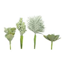 Sukulenty Umělá zelená rostlina Green Assorted 9-18,5cm 4ks