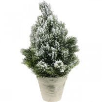 Mini vánoční stromek v květináči uměle zasněžovaný Ø18cm H32cm
