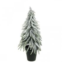 Dekorativní jedle se sněhem, adventní dekorace, jedle v květináči V37cm