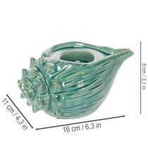 položky Držák na čajové svíčky s mořskou mušlí, dekorativní stolní svíčka, koupelna, obývací pokoj, 16 cm