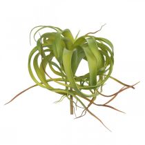 Tillandsia umělá k nalepování světle zelená umělá rostlina 30cm