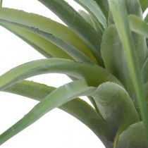 Umělá umělá rostlina Deco Tillandsia na nalepování zelená Ø45cm