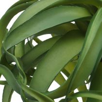 Tillandsia Umělá zelená rostlina k napichování Large Green Ø40cm