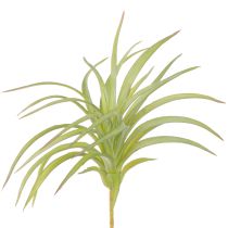 položky Tillandsia zelené umělé rostliny s tyčí Ø17cm 3 ks