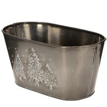 položky Oválný květináč s reliéfním motivem jedle, 25 cm