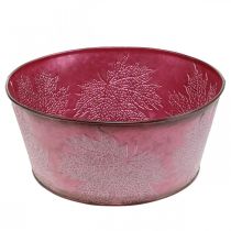 položky Miska na rostliny na podzim, kovová nádoba s ozdobou listů, dekorativní květináč vínově červený Ø25cm V11cm