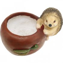 položky Květináč, jablko s ježkem, podzimní dekorace, hrnec, keramika Ø16cm V22cm Š33cm