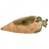 položky Dekorativní mrkev, betonová dekorace na výsadbu, Velikonoce, květináč s mrkví, jarní dekorace L28cm