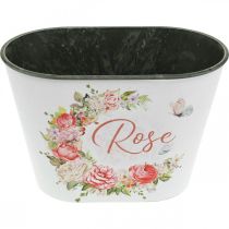 položky Květináč, dekorativní květinové růže, miska na květiny L19cm H12,5cm