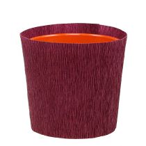 položky Cup sleeve krep jako sada 95/115/135mm 150ks
