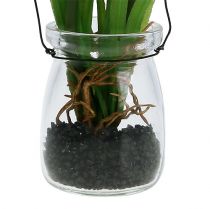 položky Hroznový hyacint umělý růžový ve skle 16cm