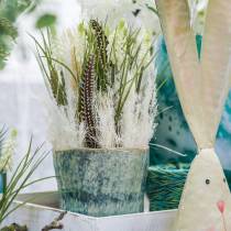položky Hroznové hyacinty v trsu bílé 30cm 15 ks