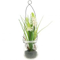 položky Hroznový hyacint bílý ve sklenici na zavěšení V22cm