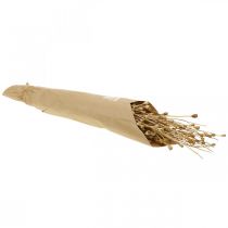 položky Sušené květy mák tobolky přírodní sušený divoký sušený dekorační svazek 100g