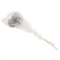 položky Sušené květiny ozdobné zvonkové kalíšky na stopce šedé 37cm 3 ks