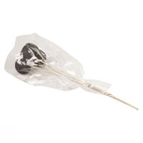 položky Sušené květiny ozdobné zvonkové kalíšky na stopce černé 44cm 3 ks