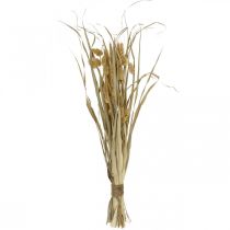 Sušené trávy a obiloviny natural ve svazku sušené kytice 48cm
