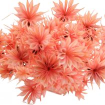 položky Sušené květy černý kmín Nigella sušená starorůžová 100g