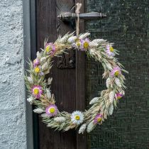 Prsten se sušenými květinami Růžový kroužek smyčka se sušenými květinami DIY krabička Ø20cm
