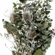 Kytice ze sušených květin eukalyptová kytice z bodláků 45-55cm 100g