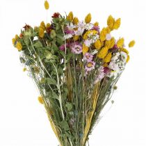 položky Kytice ze sušených květin Kytice z lučních květin 58cm
