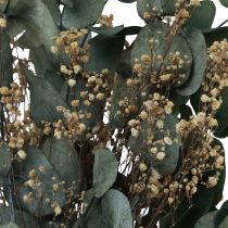 položky Kytice sušených květin eukalyptus gypsophila konzervovaná 50cm zelená