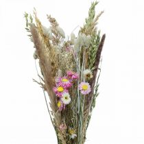 Kytice ze sušených květů tráva Phalaris slámové květy růžové 60cm 110g
