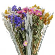 Kytice ze sušených květů mořské levandule Phalaris grain 55cm