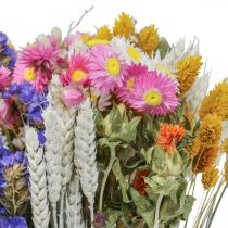 Kytice ze sušených květů mořské levandule Phalaris grain 55cm