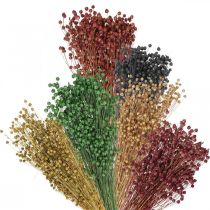 Suchá tráva Deco Len Různé barvy V50cm 80g