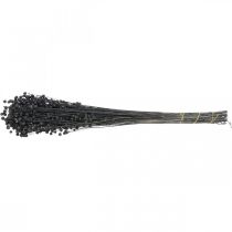položky Sušená lněná dekorativní tráva, černá, 50-55 cm, 80 g