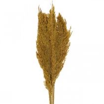 Sušená tráva, ostřice, sušená, olivově zelená, deko tráva, 70 cm, 10 kusů