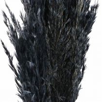 položky Sušená tráva Ostřicová tráva sušená černá dekorativní tráva 70cm 10 kusů