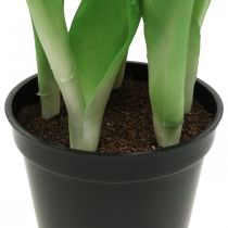 položky Tulipán růžový, zelený v květináči Umělá hrnková rostlina dekorativní tulipán V23cm