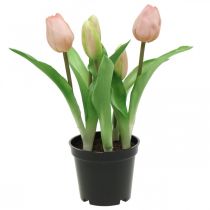 Tulipán růžový, zelený v květináči Umělá hrnková rostlina dekorativní tulipán V23cm