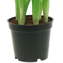 položky Umělé květiny v květináči Umělé tulipány Růžově žluté 22,5 cm