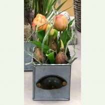 položky Umělé květiny v květináči Umělé tulipány Růžově žluté 22,5 cm