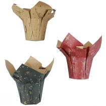 položky Sázecí papír hvězdičky červená/antracit/přírodní Ø12cm V12cm 9ks